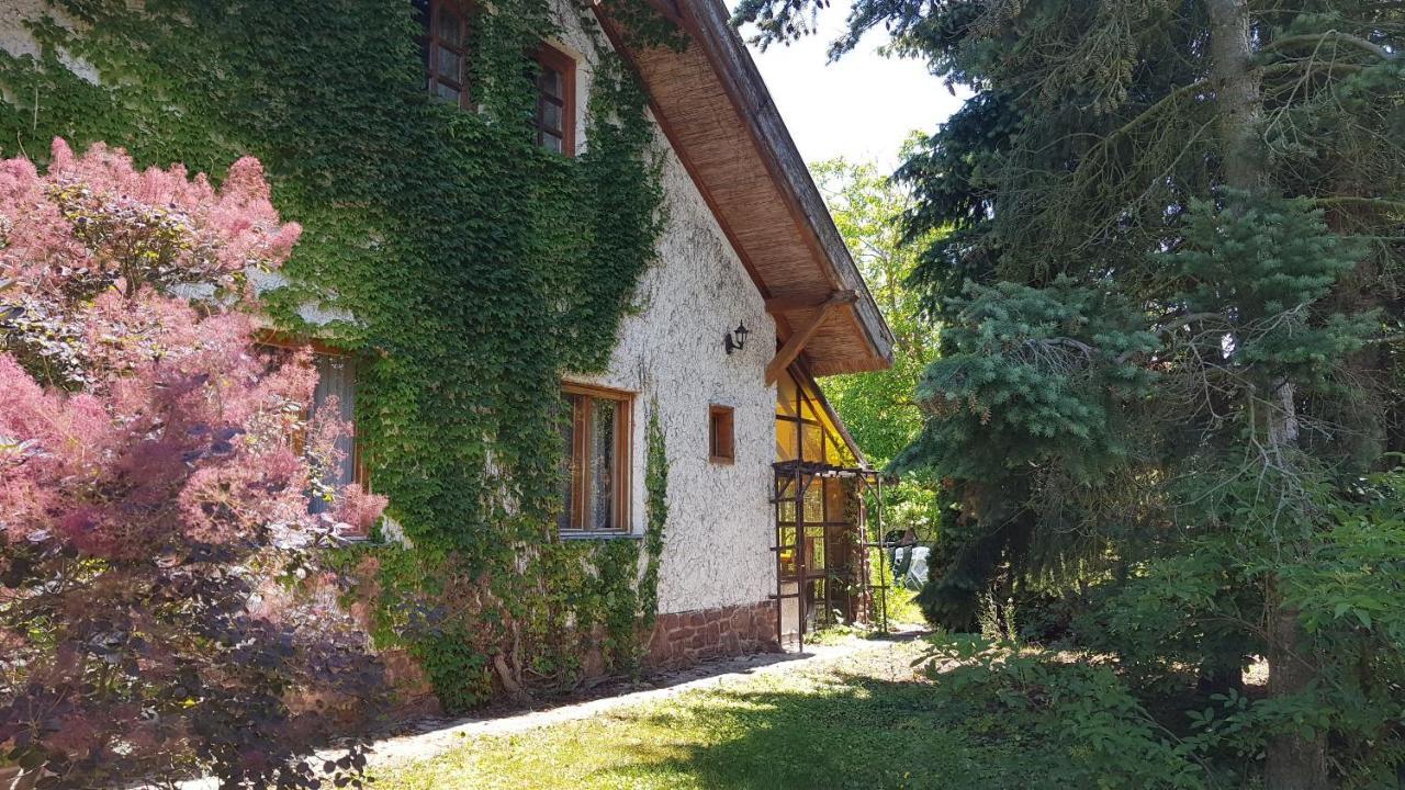 Haus Veronika Zamárdi Zewnętrze zdjęcie